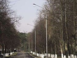 Столбы у дороги