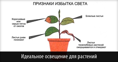 Необходимое освещение