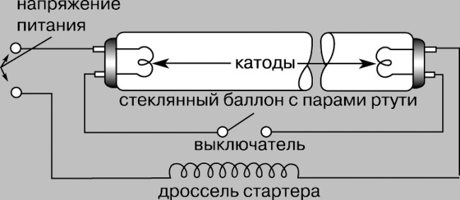 Внутреннее устройство люминесцентной лампочки
